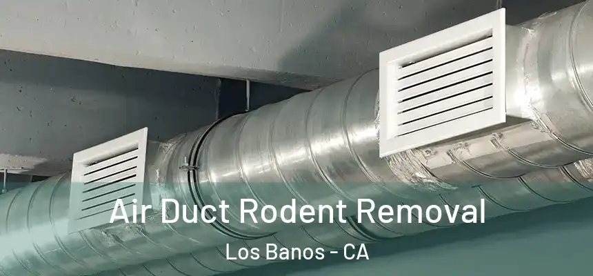  Air Duct Rodent Removal Los Banos - CA