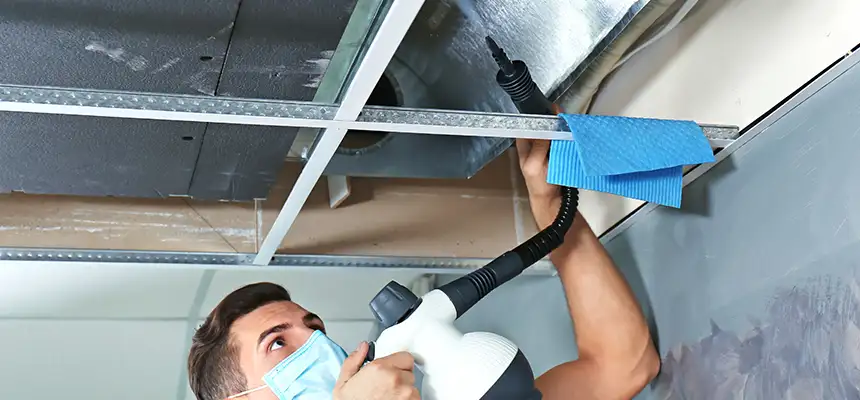 Our Air Duct Rodent Removal Services in Los Banos, CA