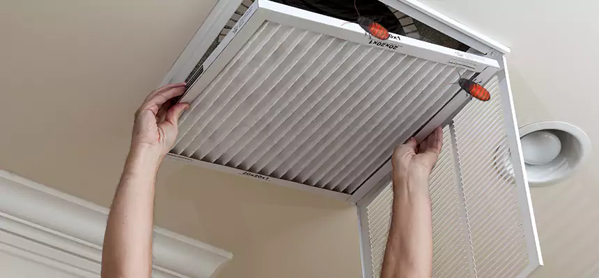 Our Insect Removal from Air Ducts Services in Los Banos, CA