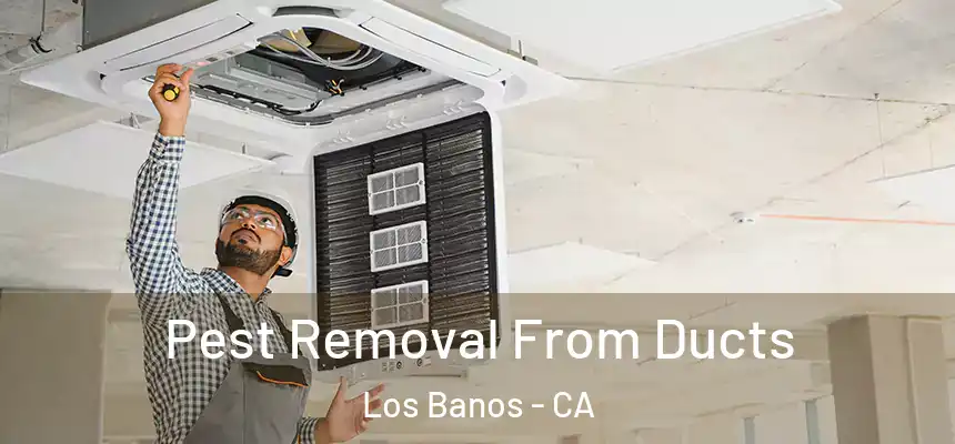  Pest Removal From Ducts Los Banos - CA