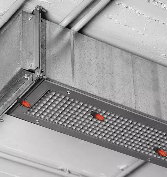 About Air Duct Cockroach Removal in Los Banos, CA