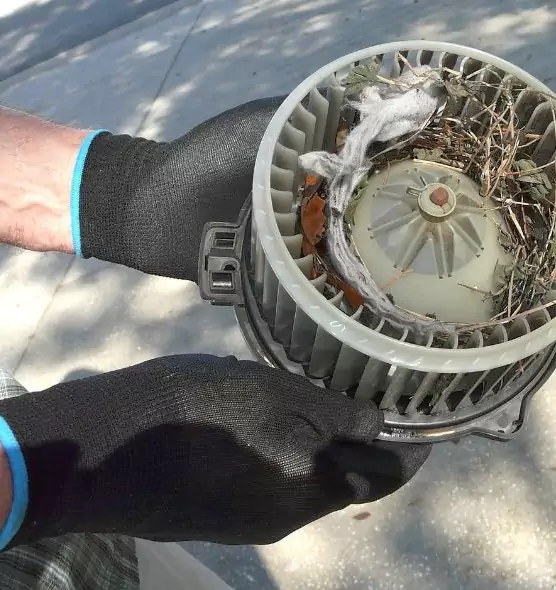 About Air Duct Mice Removal in Los Banos, CA