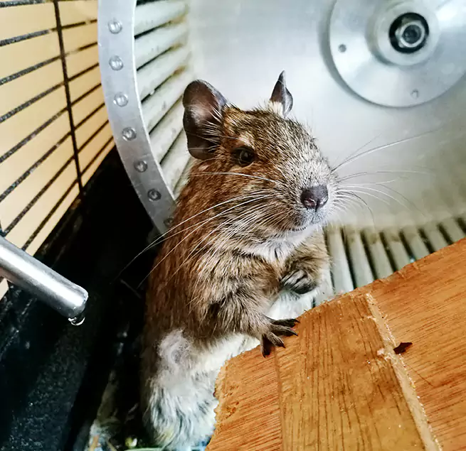 Why Homeowners & Businesses Trust Us Los Banos, CA